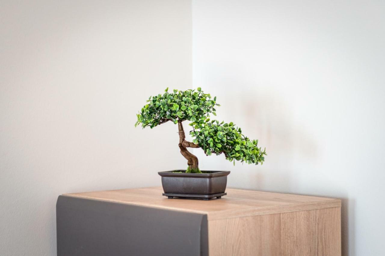 Apartment Ana スプリト エクステリア 写真